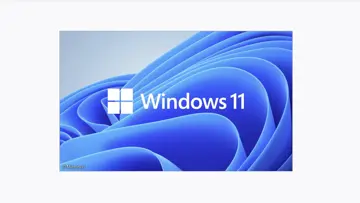 Windows 11: Errors and Failures After Patch KB5070311
